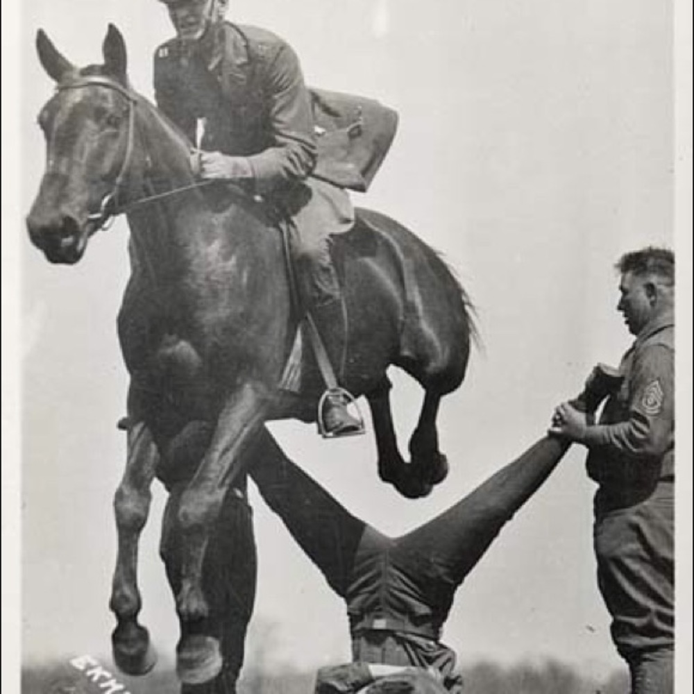 Meet your Posher, Laura